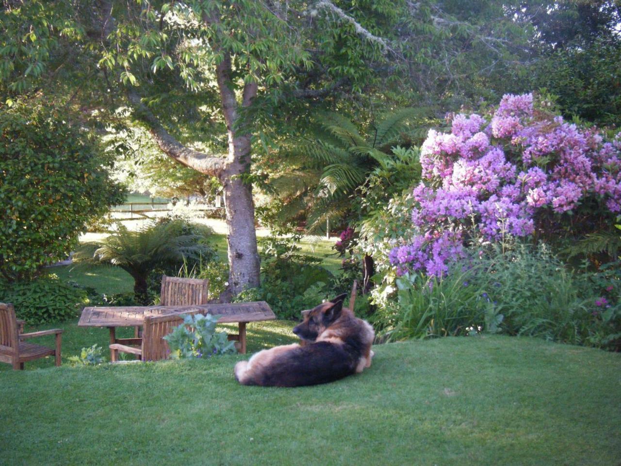 Twynham At Kinloch Bed and Breakfast Buitenkant foto